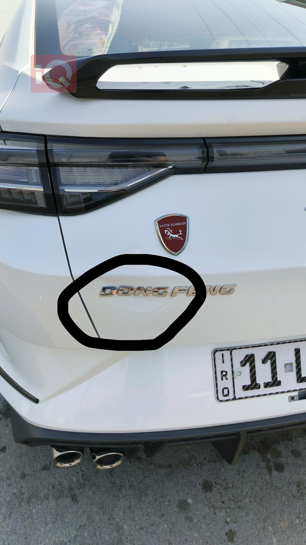 Dongfeng Shine